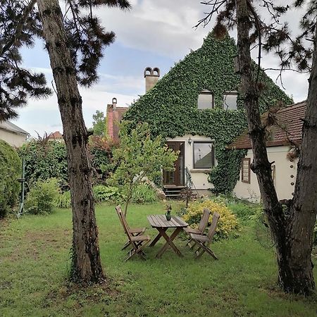 Gartenapartment Storchenblick Weiden am See Extérieur photo