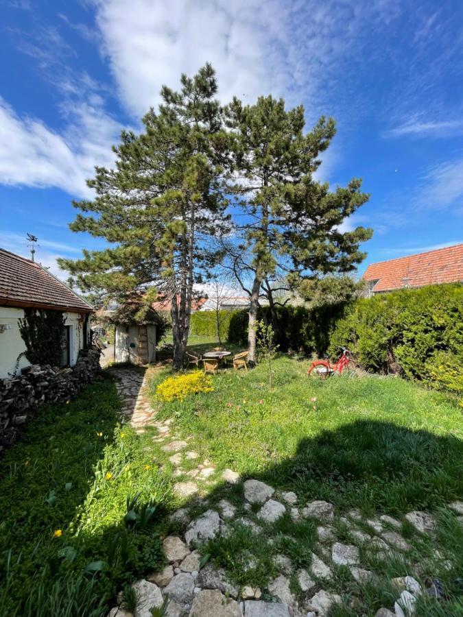 Gartenapartment Storchenblick Weiden am See Extérieur photo